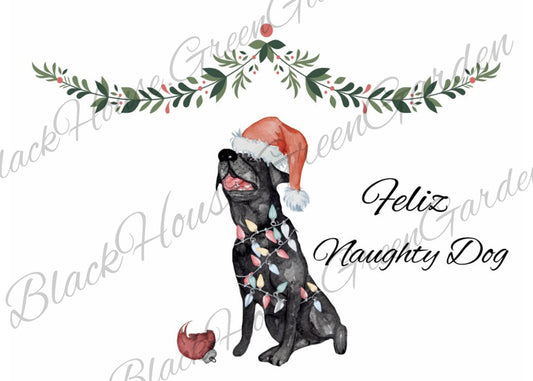 Premium Holiday Greeting Card - Feliz Naughty Dog